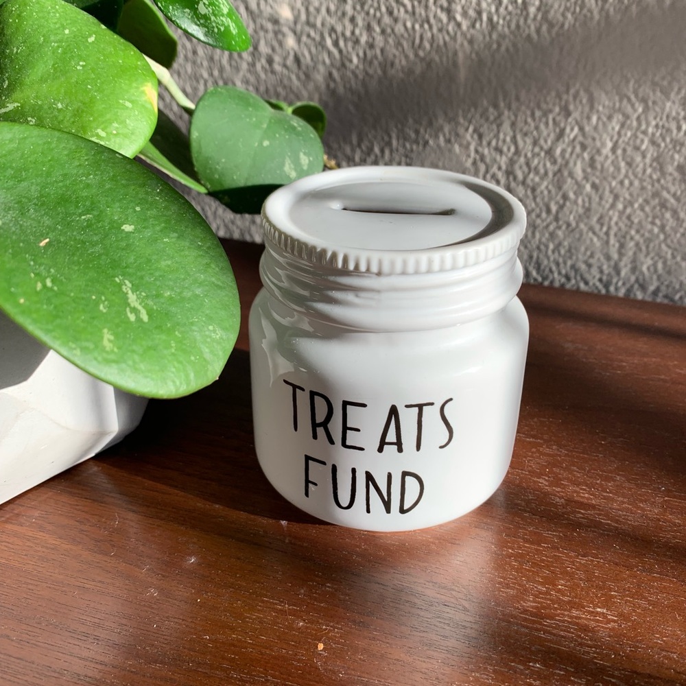 Treats Fund Coin Jar